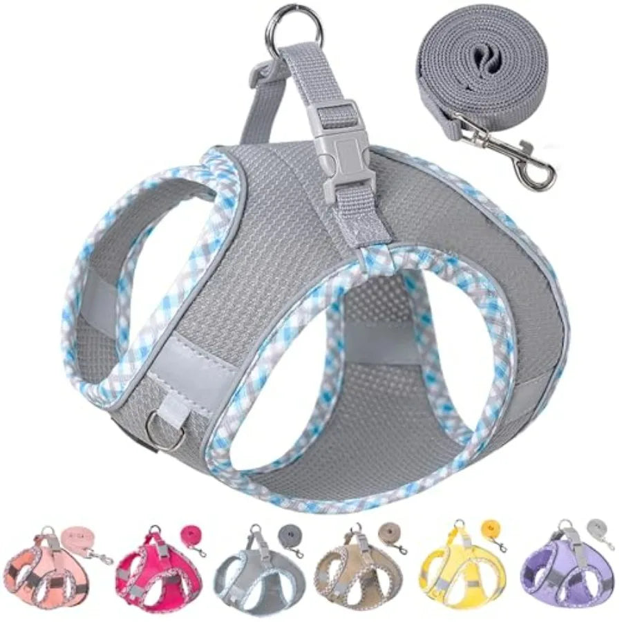 Dog Harness for Small Medium Dogs No Pull, Puppy Harness and Leash Set, Step in Dog Harness for Walking, Running, Training, Sma
