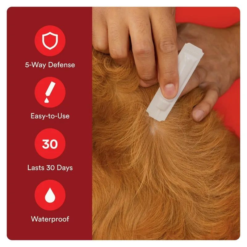 Ultra Flea and Tick Prevention for Dogs - Small Dog Flea and Tick Treatment & Control - Mosquito Repellent - Fast Acting Waterproof Topical Drops, 2 Month Supply