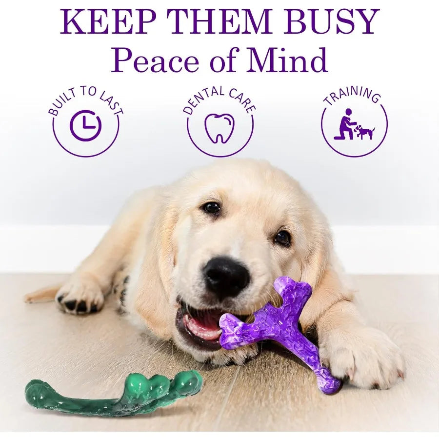 Dog Toys for Aggressive Chewers: 6 Pack Beef Flavored Indestructible Chew Toys Tough Nylon Chew Bones for Medium and Large Dogs