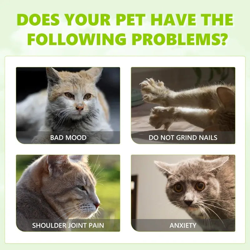 Catnip Spray Relieves Cats' Anxious Moods and Enhances Pets' Vitality for Healthy Care