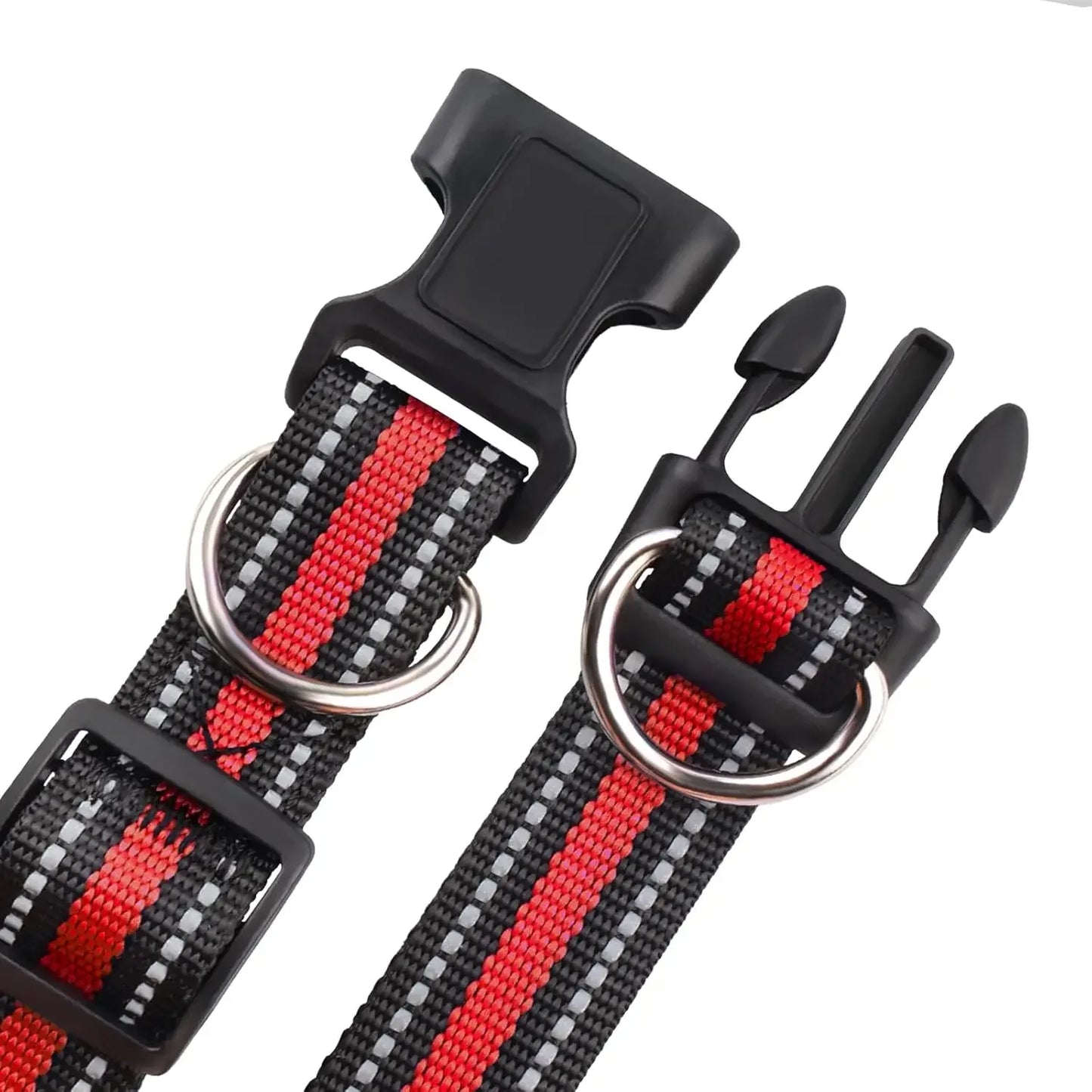 Highly Reflective Adjustable Dog Collar with Dual Metal D-Rings - Classic Colors for Small/Medium Dogs, 2-Pack (Red and Violet,M