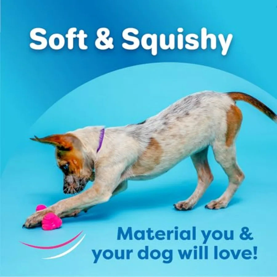 DuraPlay Bone Squeaky Latex Dog Toy for Medium Breeds, 3 Pack