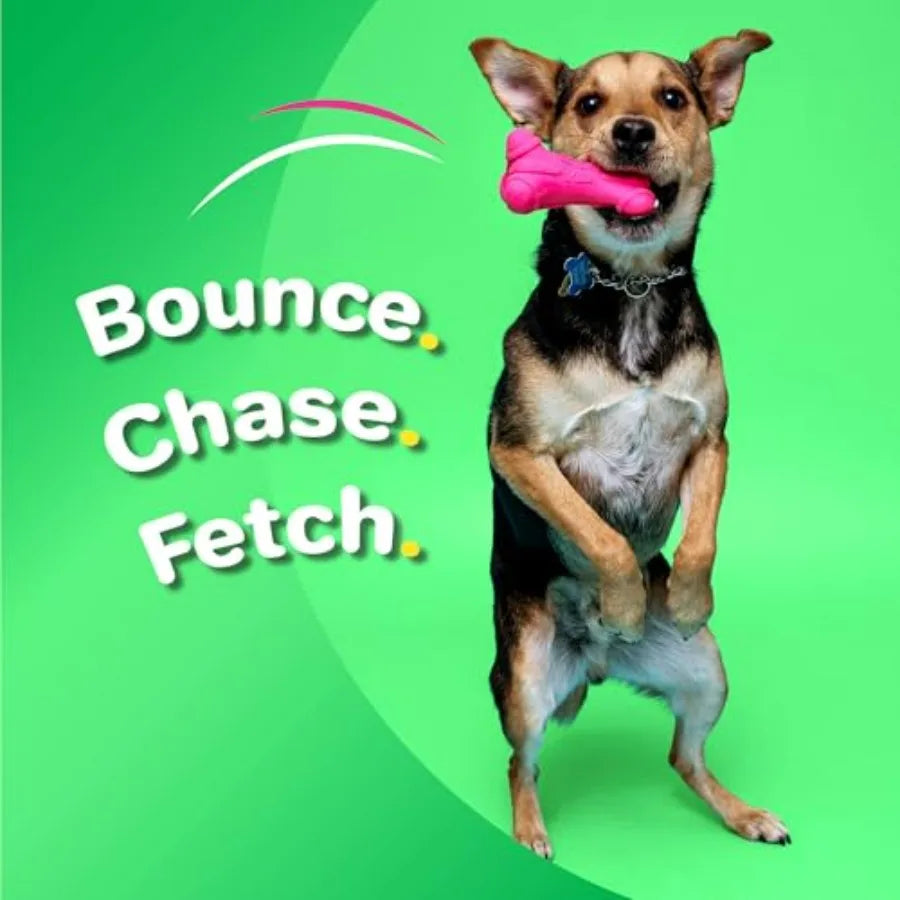 DuraPlay Bone Squeaky Latex Dog Toy for Medium Breeds, 3 Pack
