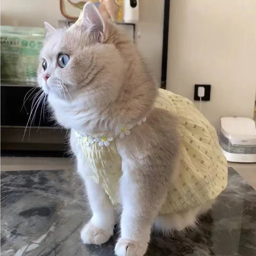 Breathable Cat Skirt Floral Wreath Collar Pretty Cute Small Dog Skirt Thin Small Dog Dress Mini Puppy Princess Dress