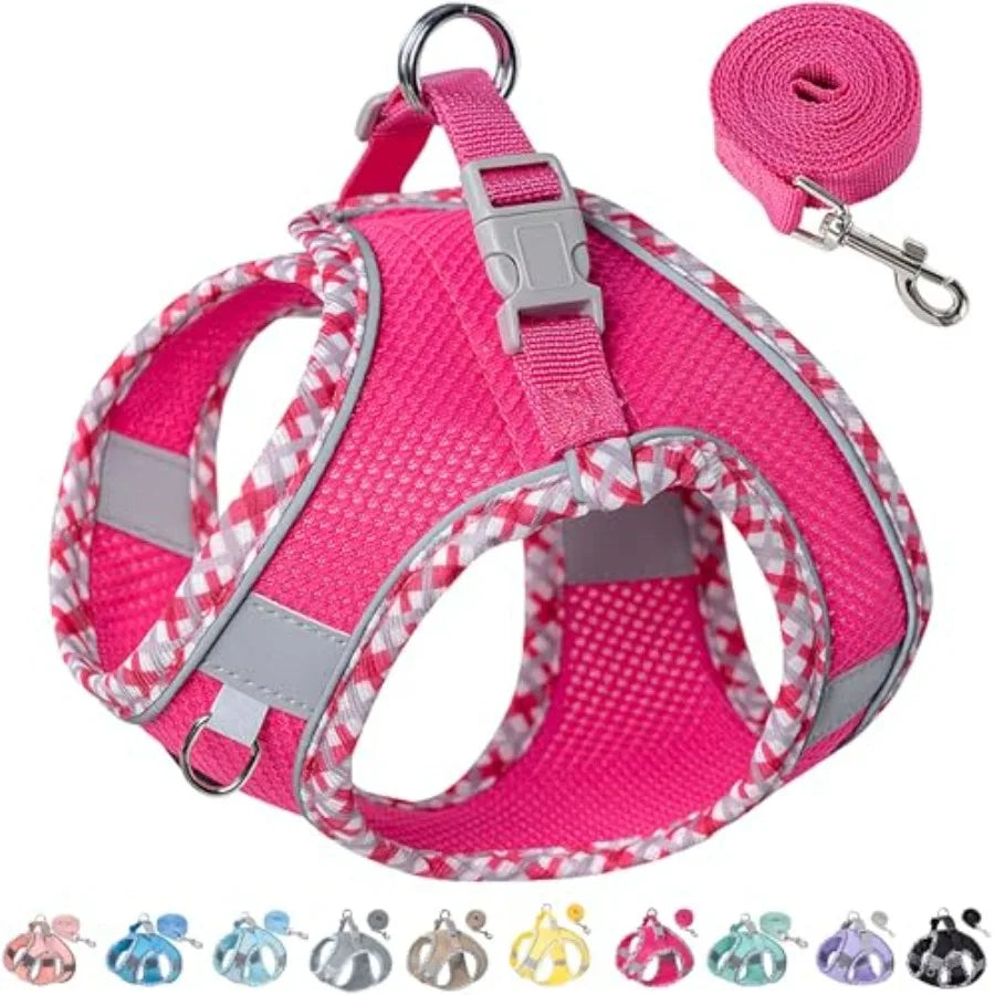 Dog Harness for Small Medium Dogs No Pull, Puppy Harness and Leash Set, Step in Dog Harness for Walking, Running, Training, Sma