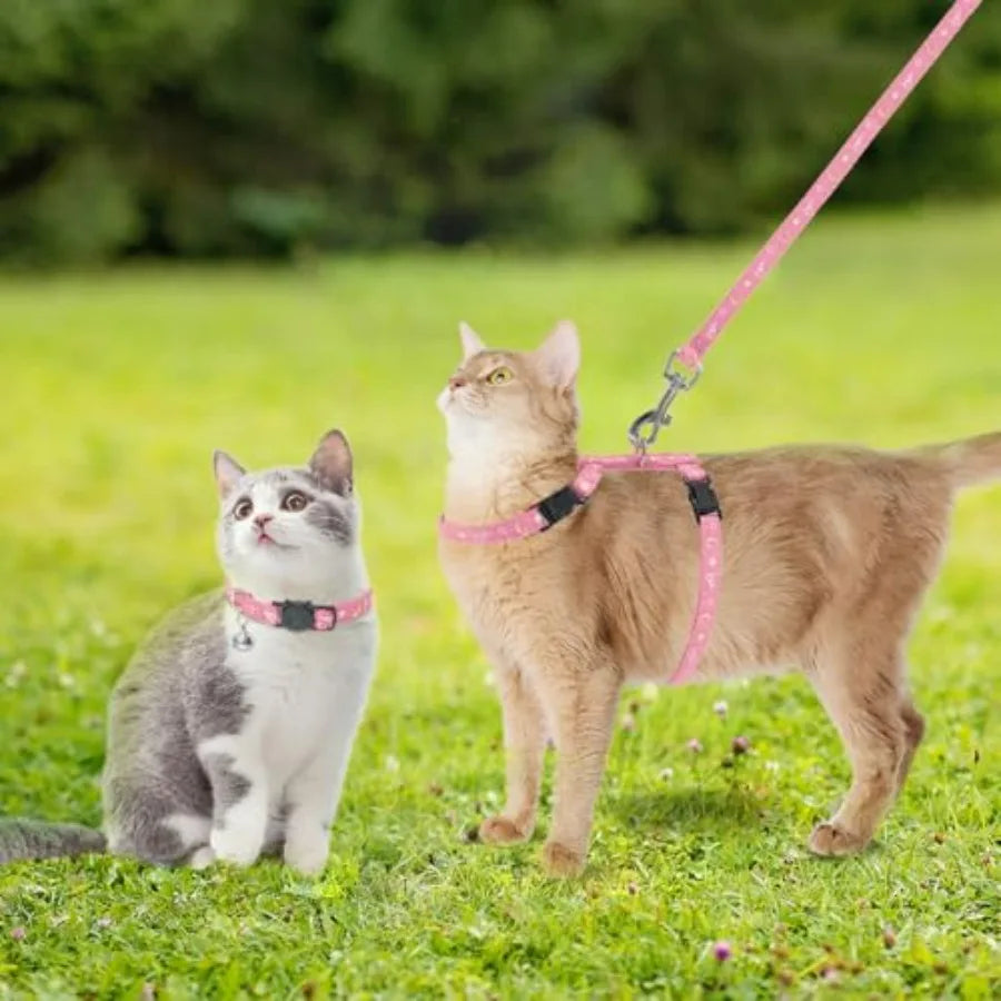 Cat Harness with Leash and Collar Set - Escape Proof Adjustable H-shped Cat Harness with Star and Moon Pattern Glow in The Dark