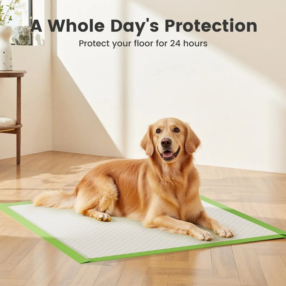 Extra Large 28"x34" Disposable Puppy Training Pads, Super Absorbent, Leak-Proof, Eco-Friendly, 10 Count
