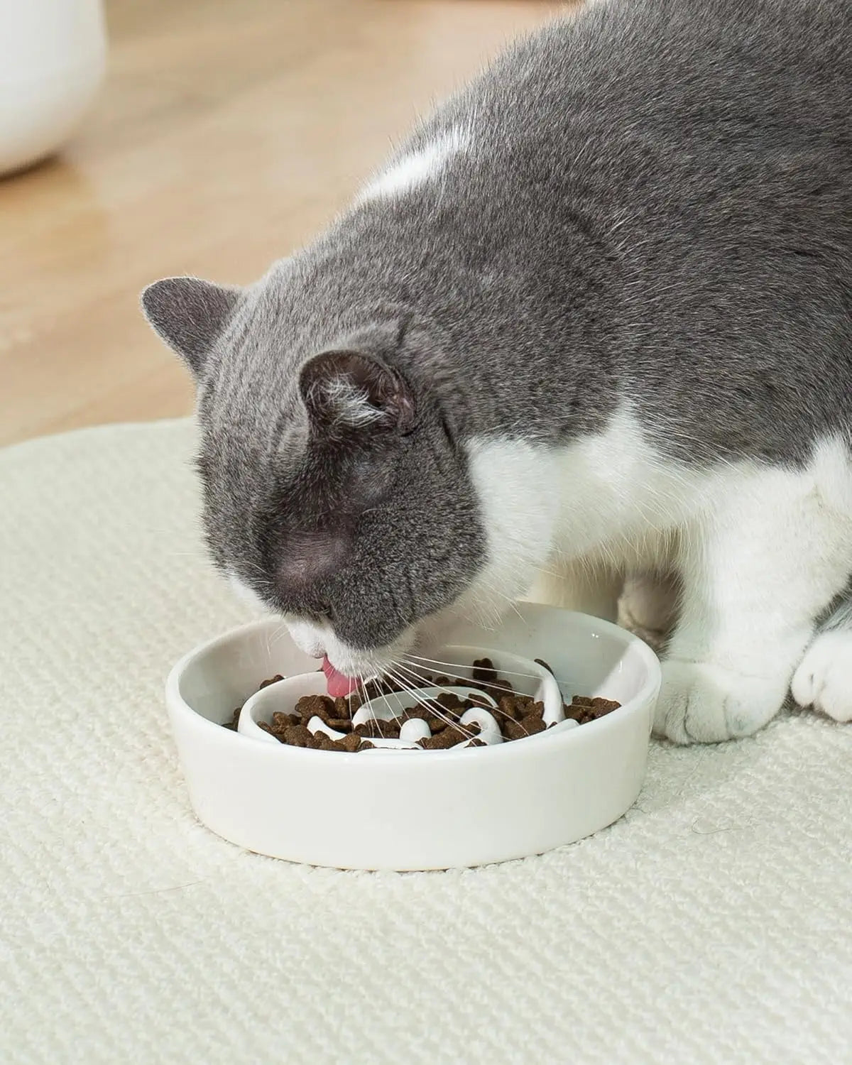 Ceramic Slow Feeder Dog Bowls for Small Breeds, 0.6 Cup Cat Bowl for Fast Eaters, Puzzle Dish No Black Chin, White