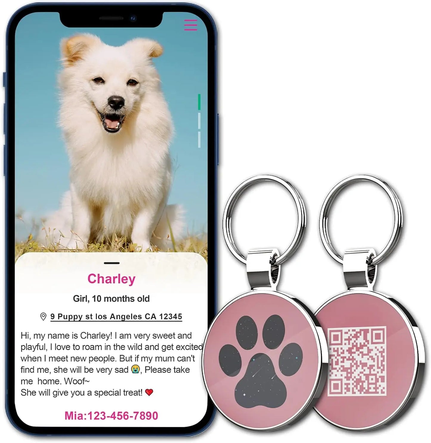 Personalized QR Code Pet Collar Tag with Instant Location Alert Email for Dogs & Cats