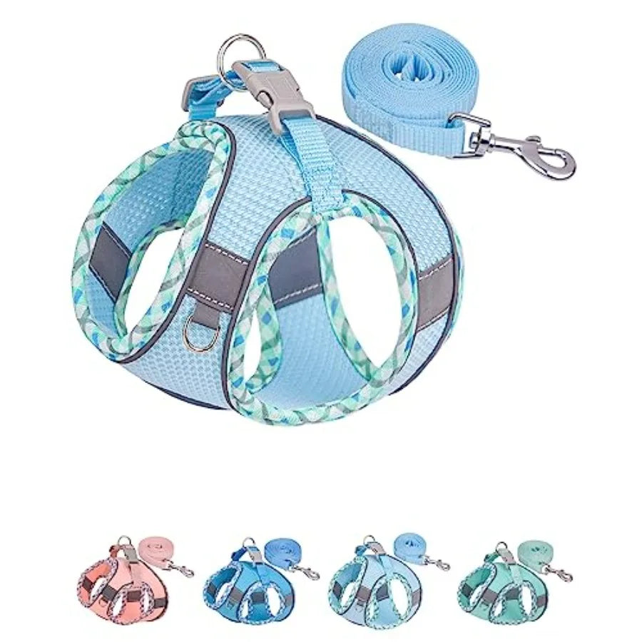 Dog Harness for Small Medium Dogs No Pull, Puppy Harness and Leash Set, Step in Dog Harness for Walking, Running, Training, Sma