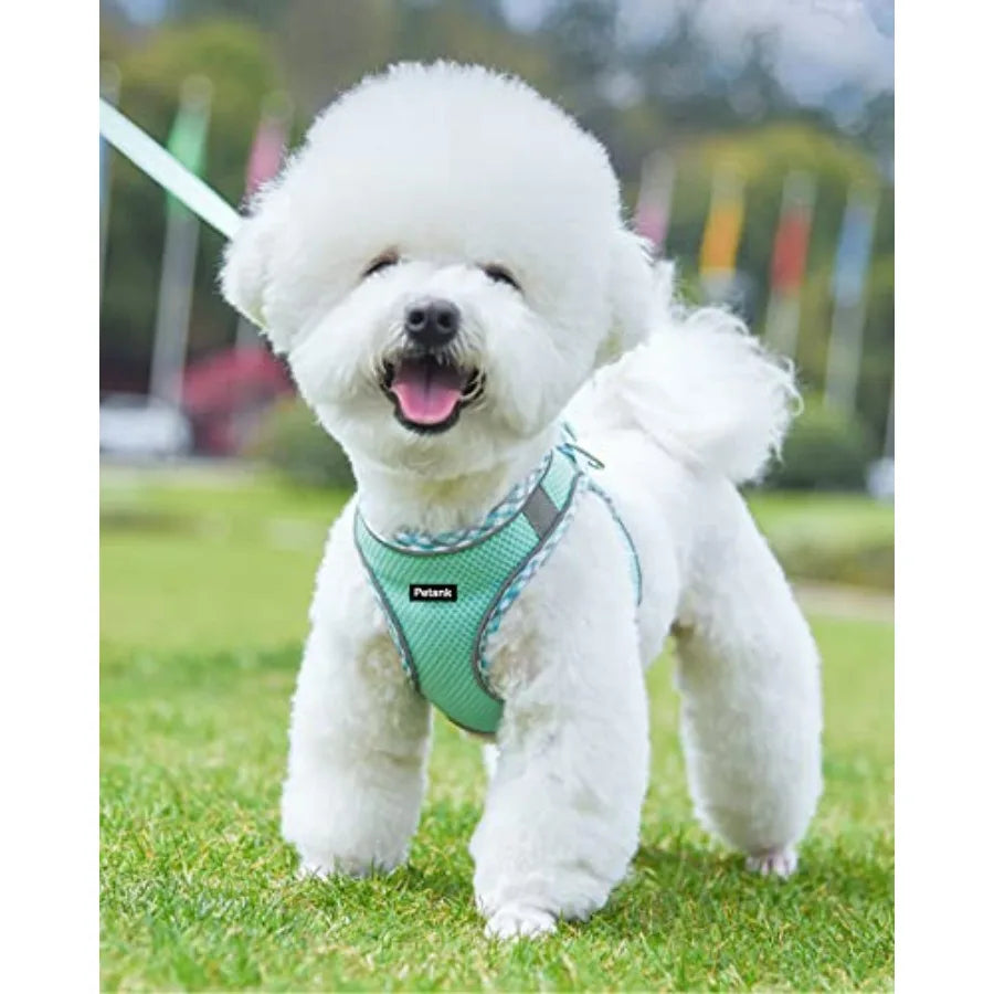 Dog Harness for Small Medium Dogs No Pull, Puppy Harness and Leash Set, Step in Dog Harness for Walking, Running, Training, Sma