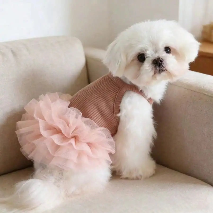 1pc Elegant Ballet Tulle Dress Pet Dog Clothes, Princess Dress Sleeveless Romantic Party Outfit, Suitable For Small Dogs, Cats, Cool Spring/Summer