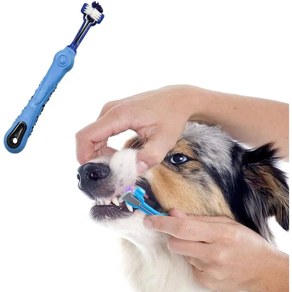 3-Sided Dog Toothbrush Removing Bad Breath Tartar Cleaning Mouth Pet Dental Care Cat Cleaning Mouth (4 Count, Pack of 1)