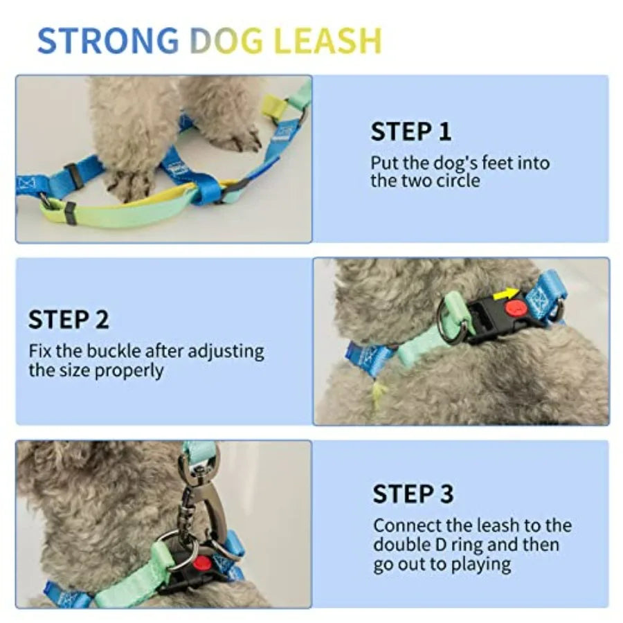 No Pull Dog Harness and Leash and Collar - Adjustable Basic Collar with A Heavy Duty Leash - Super Sturdy Buckle and D Ring - T