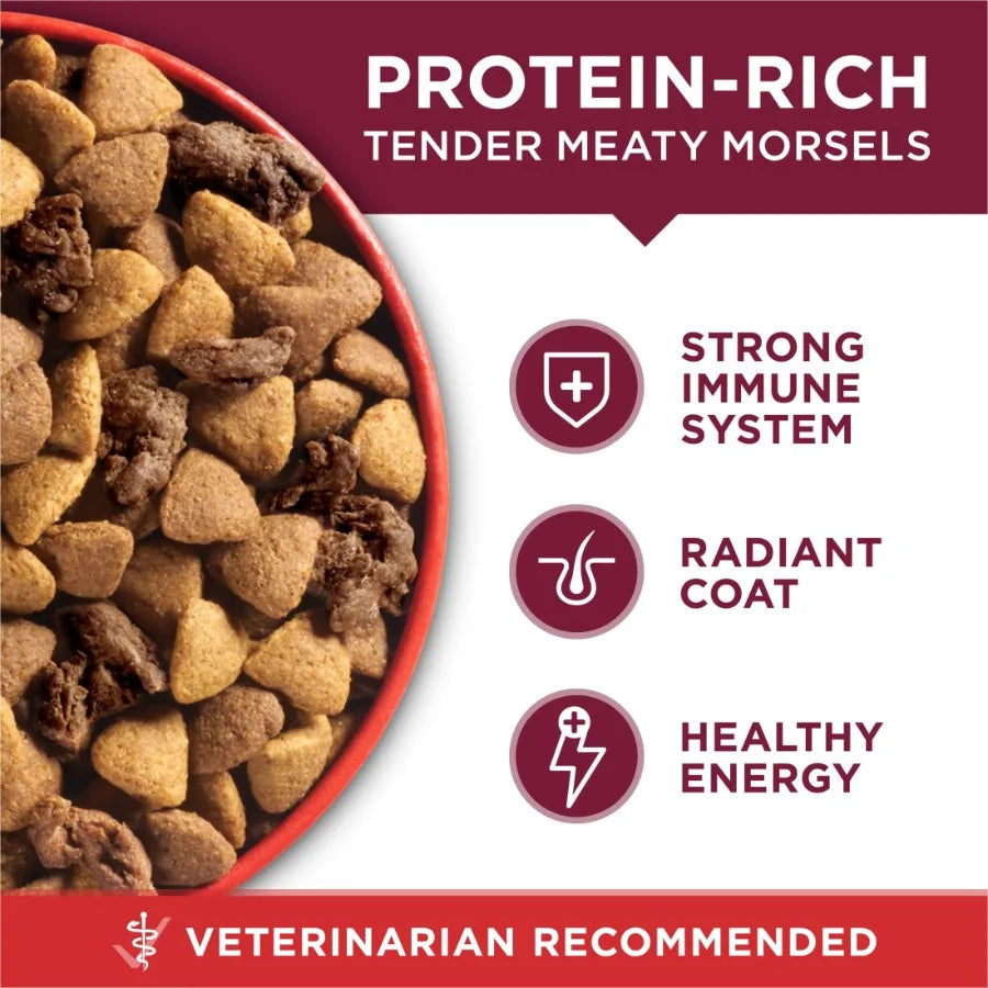 Small Bites Dry Dog Food for Adult Dogs with Added Vitamins and Minerals, High Protein Beef and Rice, 8 lb Bag