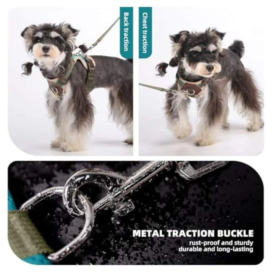 Small Dog Harness and Leash Set, Breathable Mesh Puppy Harness, Adjustable Dog Harness for Small Medium Large Dogs, No-Pull Pet