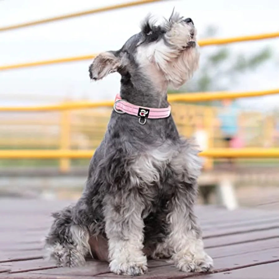 Reflective Dog Collar, Soft Neoprene Padded Pet Collar with ID Tag Ring, Adjustable for Small Dogs,,S