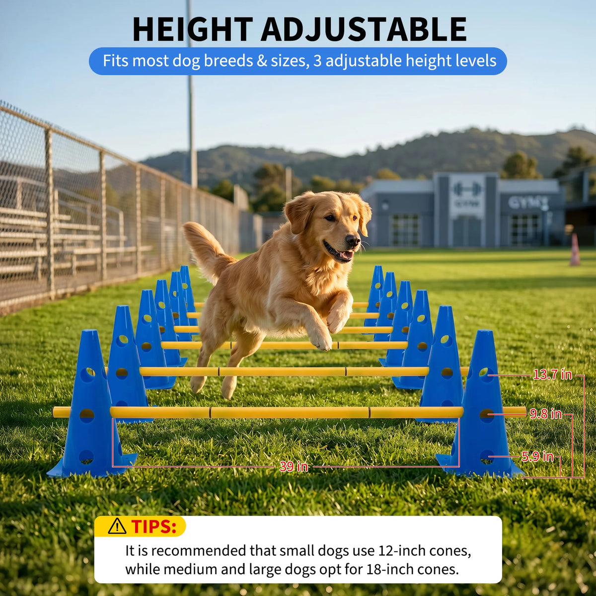 Dog Agility Training Set, 12 Pack Agility Cones with 6 Agility Rods, 3 Height Adjustable Dog Hurdle Training Equipment, Interactive Dog Toy for Outdoor Exercise, Puppy Training and Pet Play