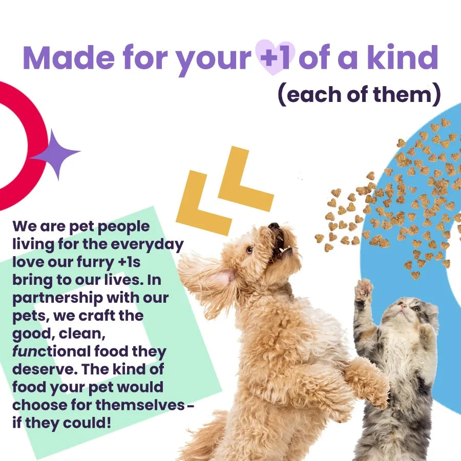 "" Feed Meow Wet Cat Food, Boost Formula with Chicken, Complete and Balanced Meal, 3oz Pouch