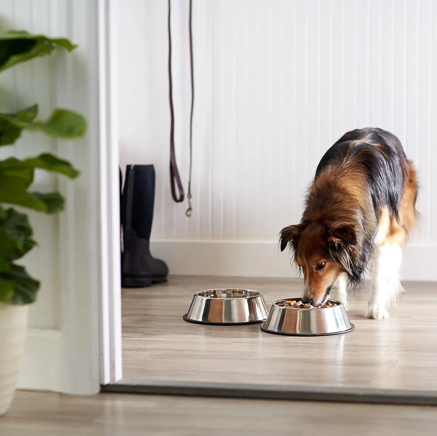 Basics Stainless Steel Non-Skid Dog Water And Food Bowls, Dishwasher Safe, Rust Resistant, 38oz Capacity, 10 x 2.8 Inches, 2-Pac